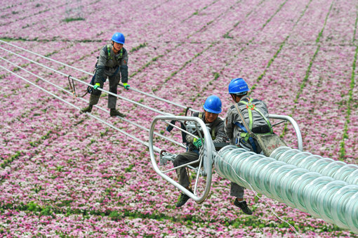 河間市天恒電力器材有限公司